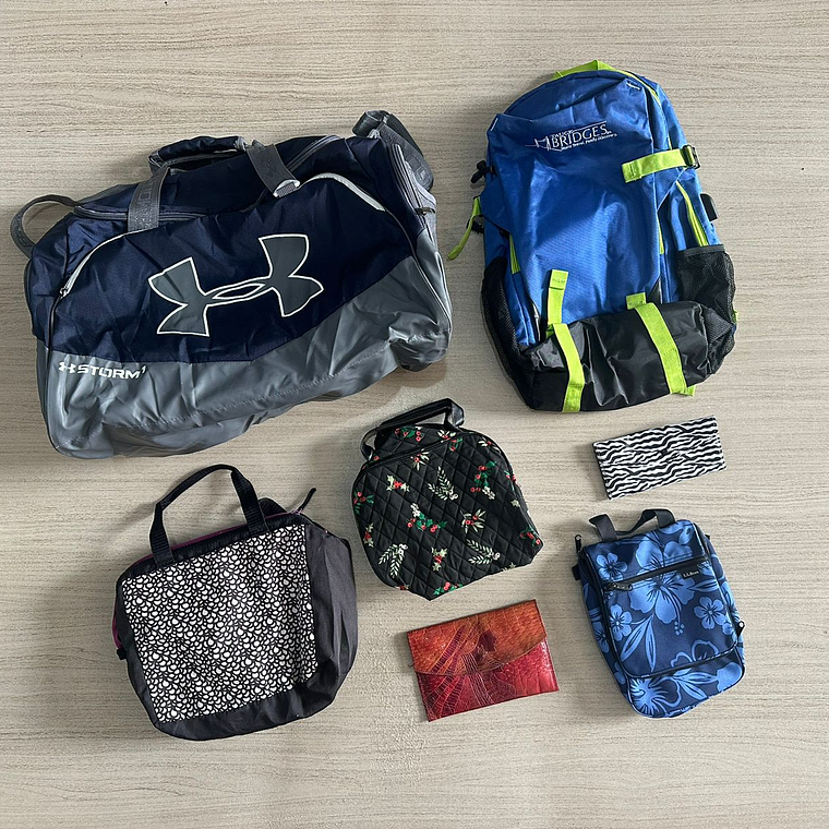 Bolsos y mochilas Regular 2