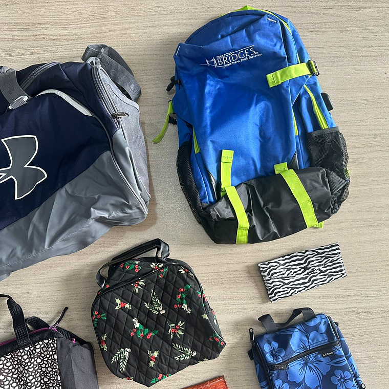 Bolsos y mochilas Regular 5