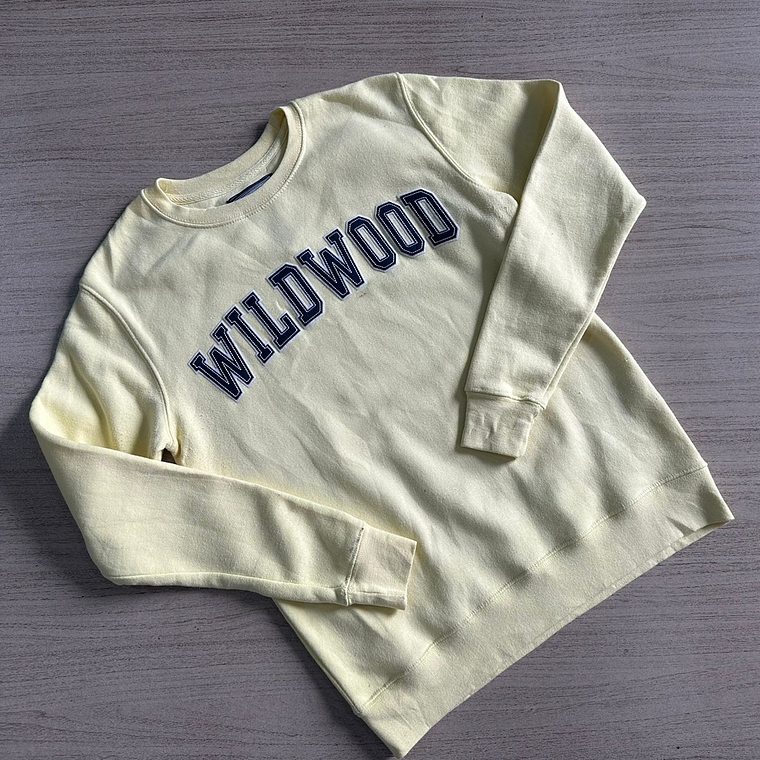 Saco Buzo/Poleron Regular 1