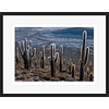 Los Cactus de Panaviento - (68 x 88 cm) Artista: Guy Wenborne
