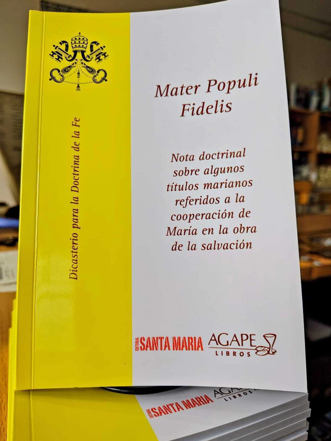 MATER POPULI FIDELIS 1