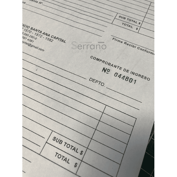 Ingresos Gastos Comunes 1