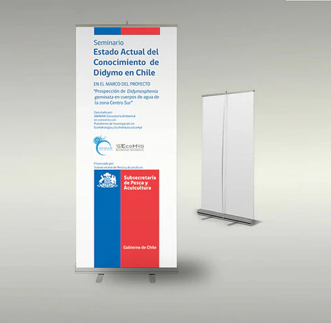 Pendón tipo roller 100x200 cm