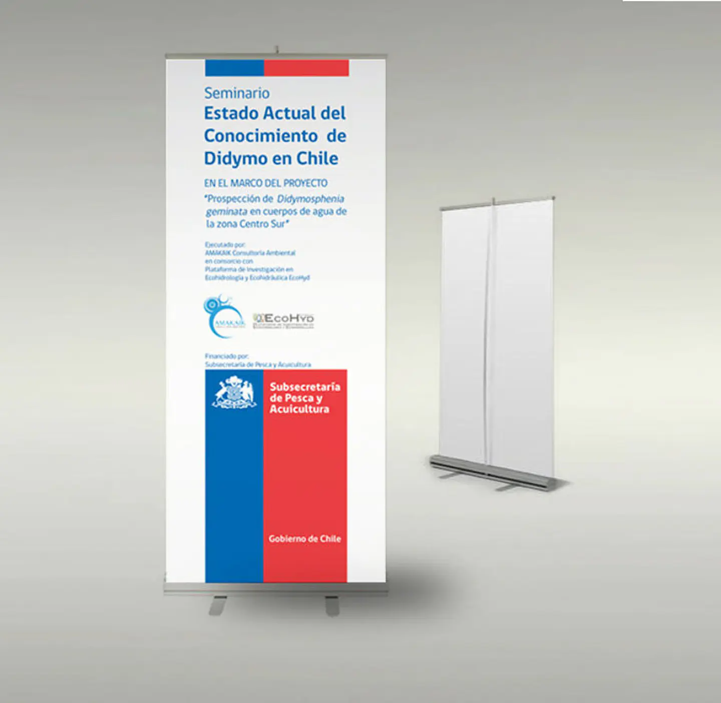 Pendón tipo roller 100x200 cm 4