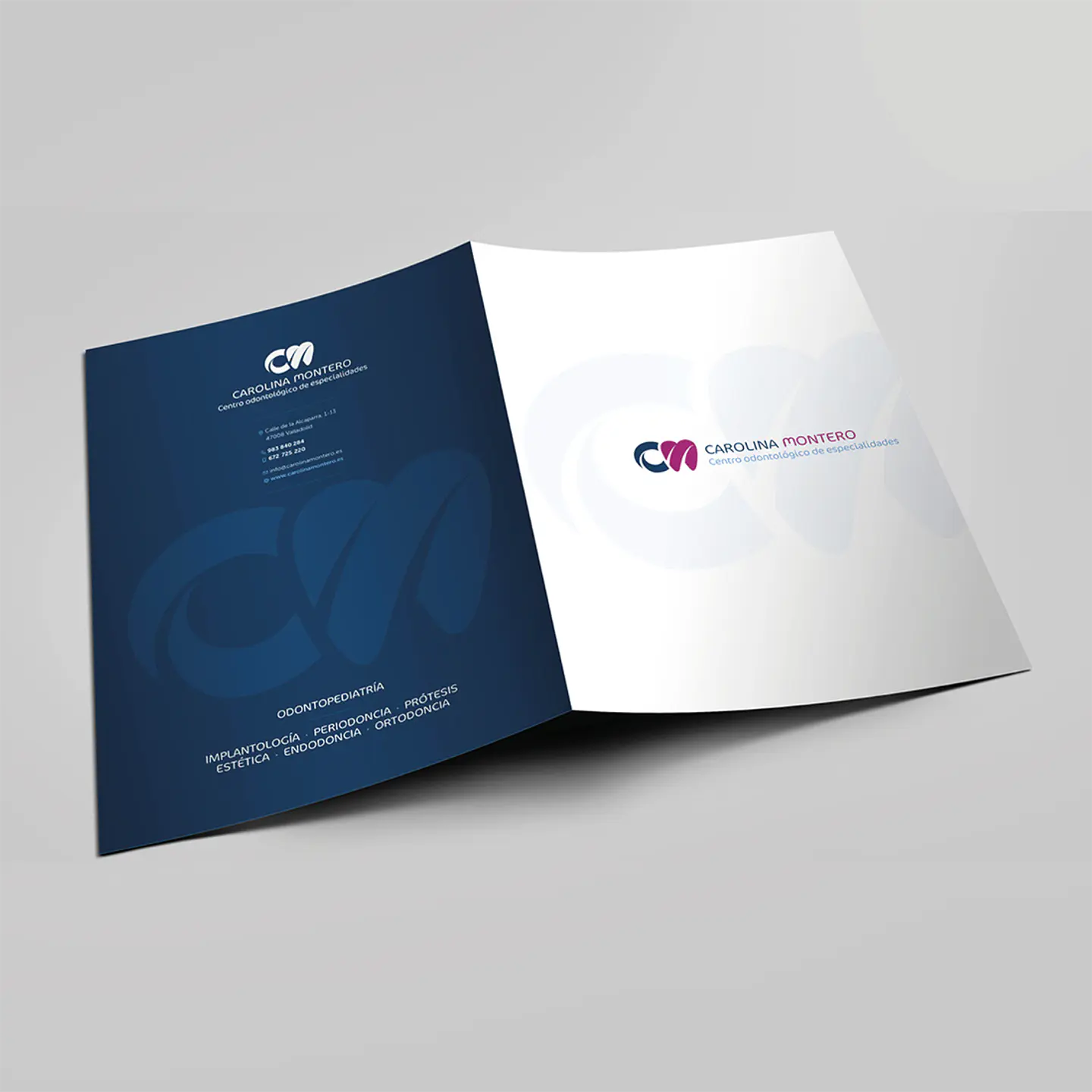Carpetas corporativas tamaño carta 1