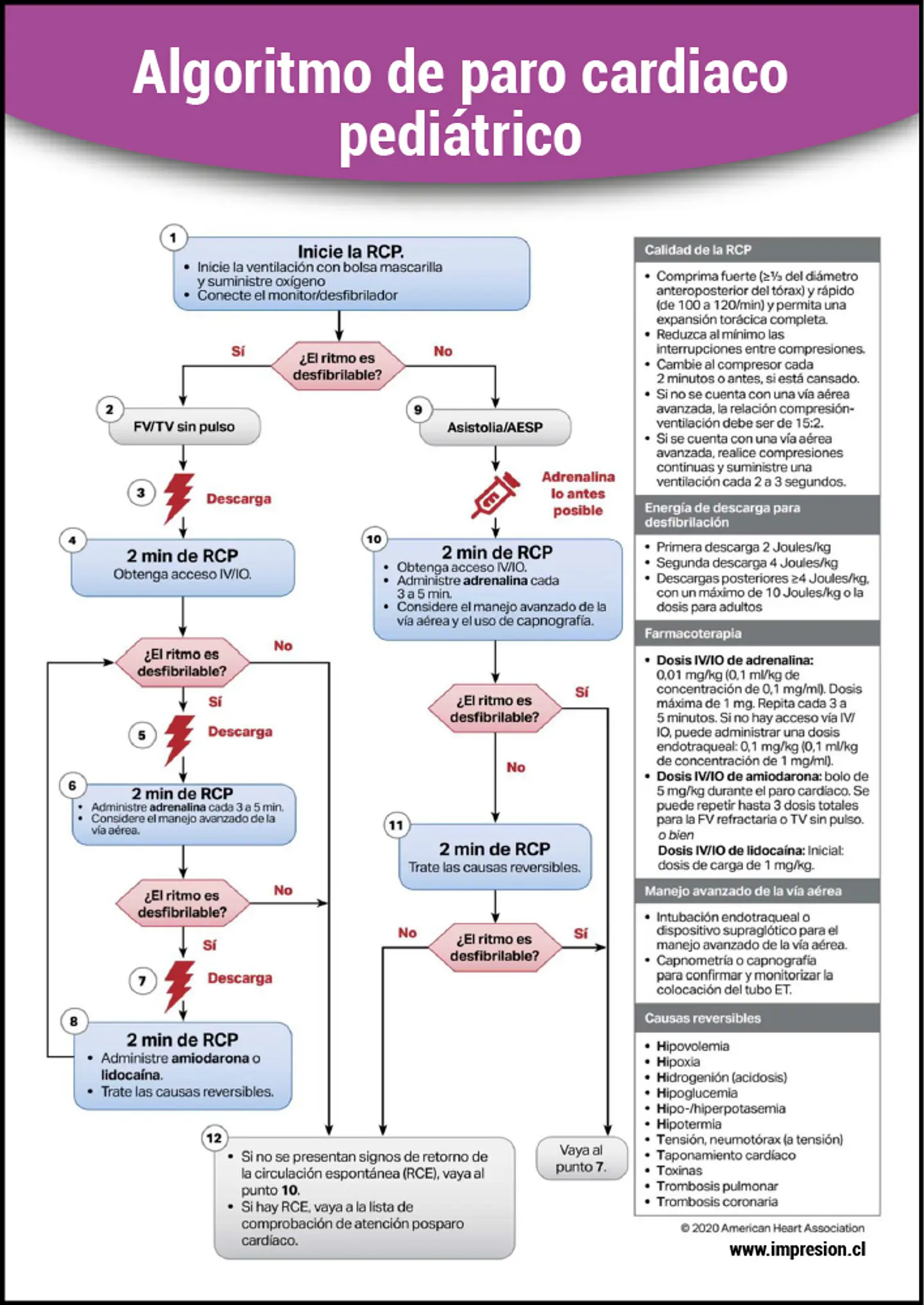 Cartel Algoritmo de paro cardiaco Pediátrico 2
