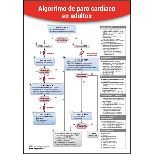 Cartel Algoritmo de paro cardiaco en adultos