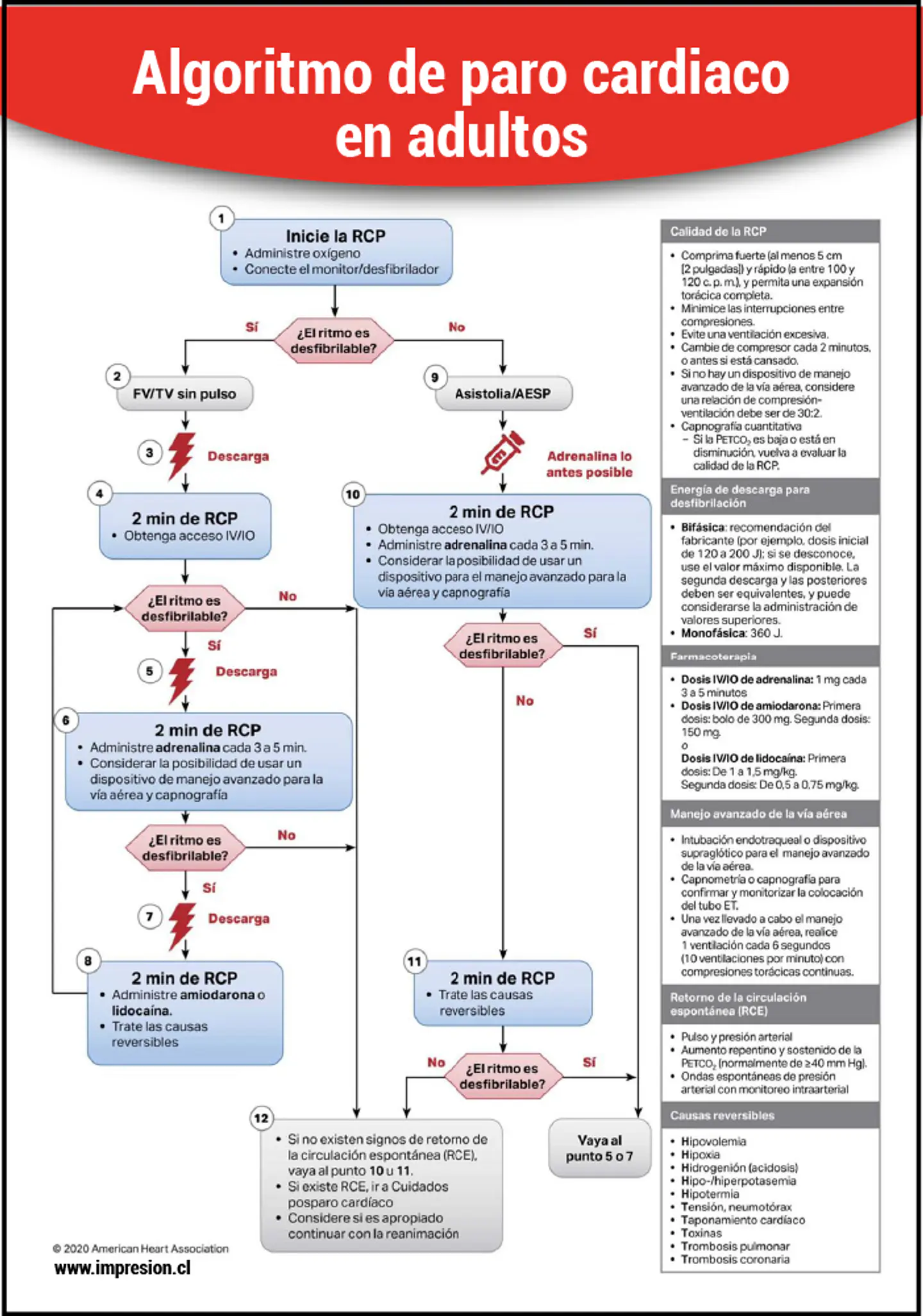 Cartel Algoritmo de paro cardiaco en adultos 2