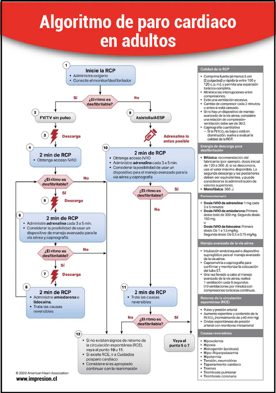 Cartel Algoritmo de paro cardiaco en adultos 2