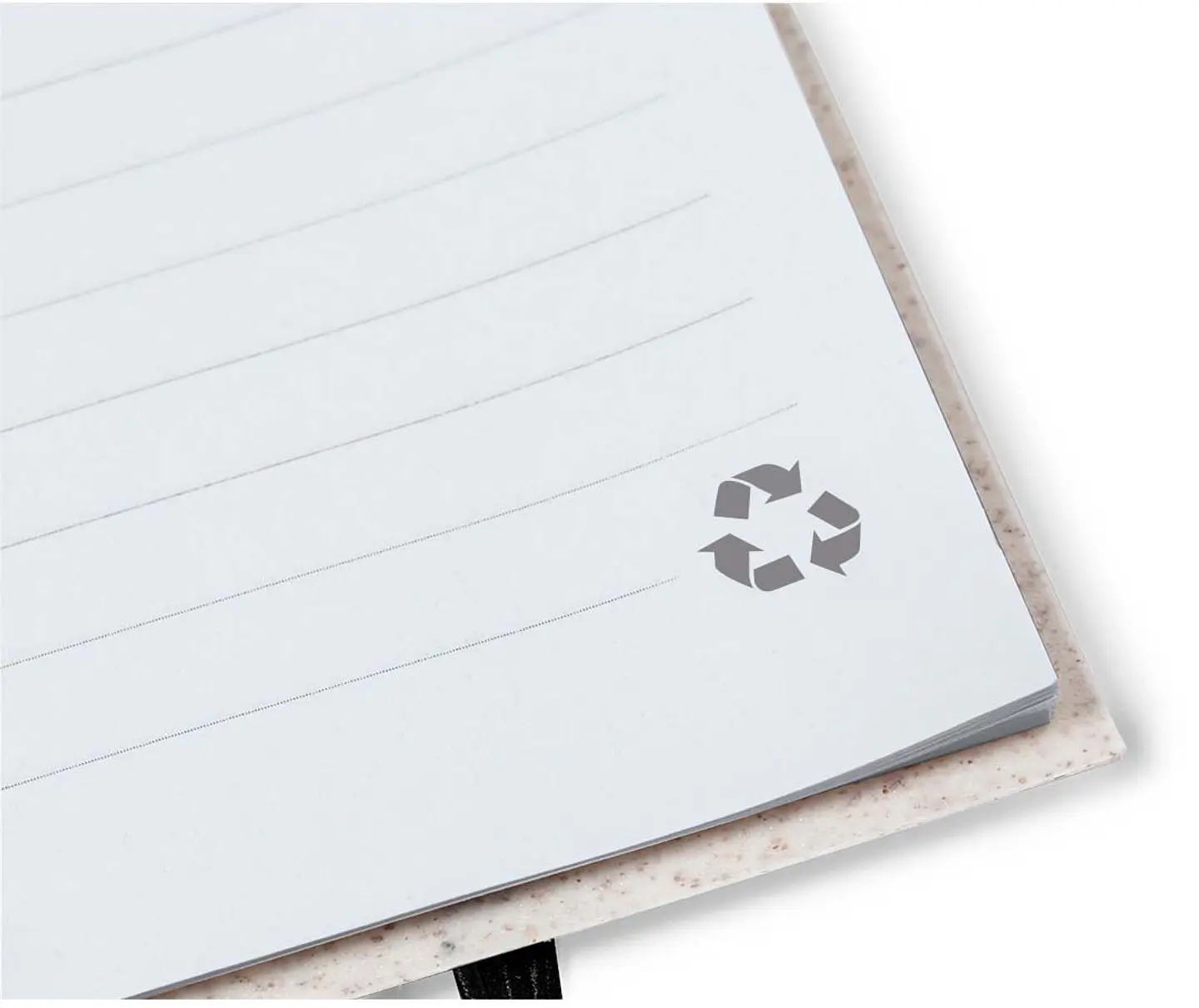 Libreta Fanny 3