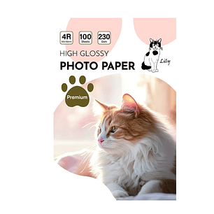 Papel Fotográfico 4R brillante 230gr/100hojas