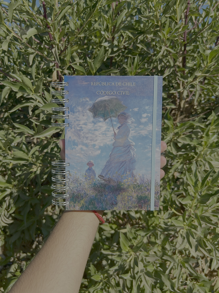 Código Civil 1