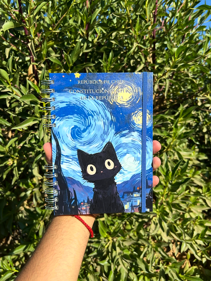 Constitución Política de la República 2