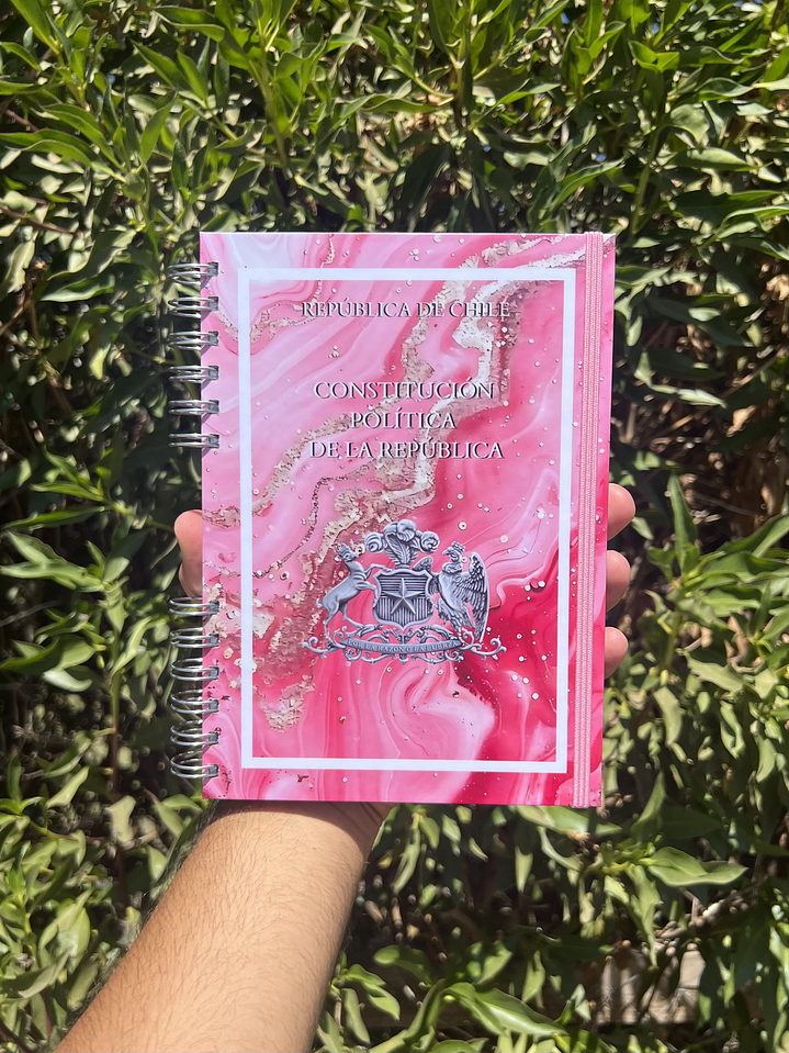 Constitución Política de la República 1