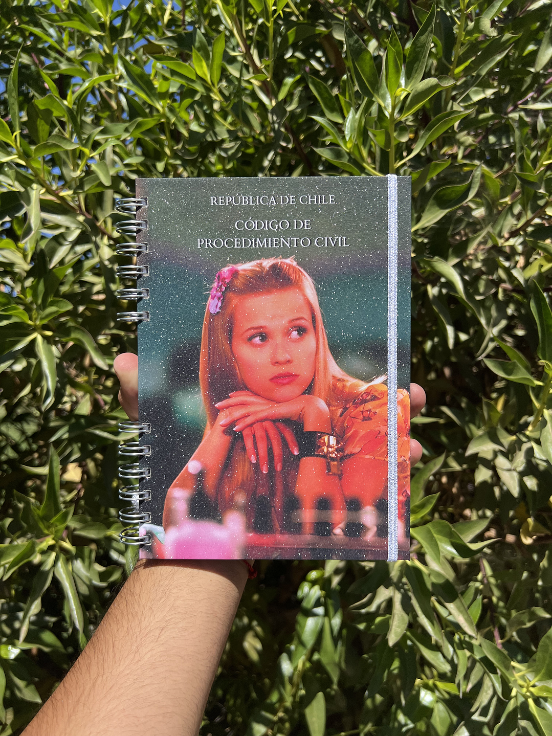 Código de Procedimiento Civil 1