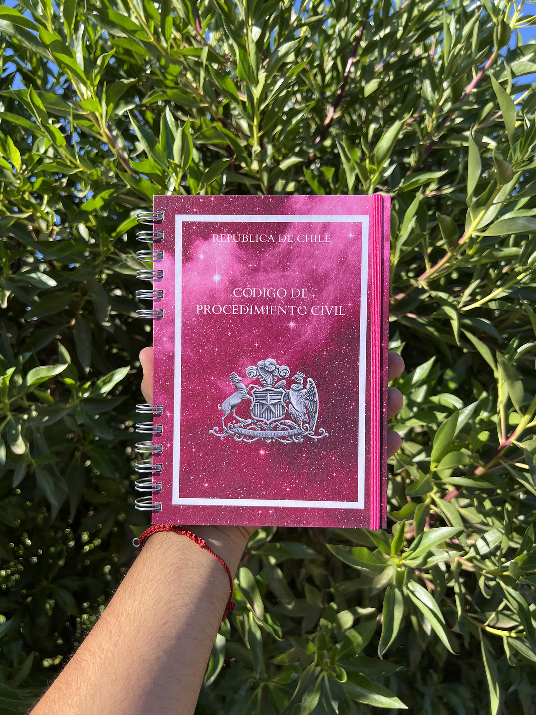 Código de Procedimiento Civil 2