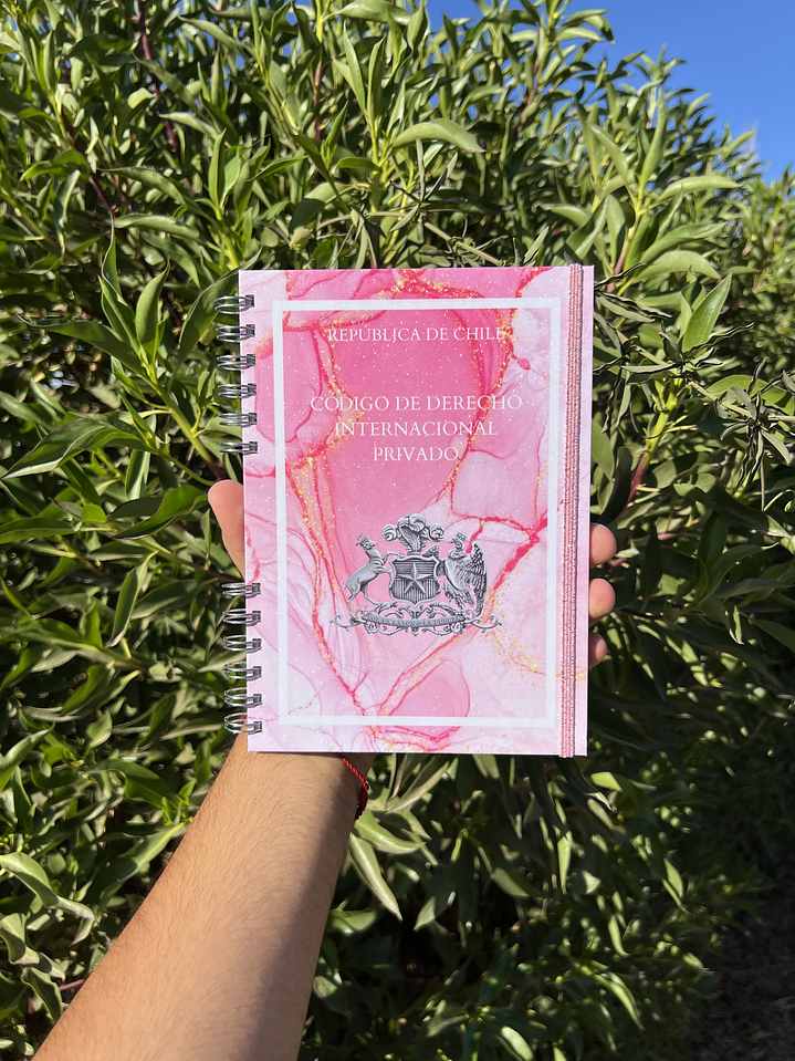 Código de Derecho Internacional Privado 1
