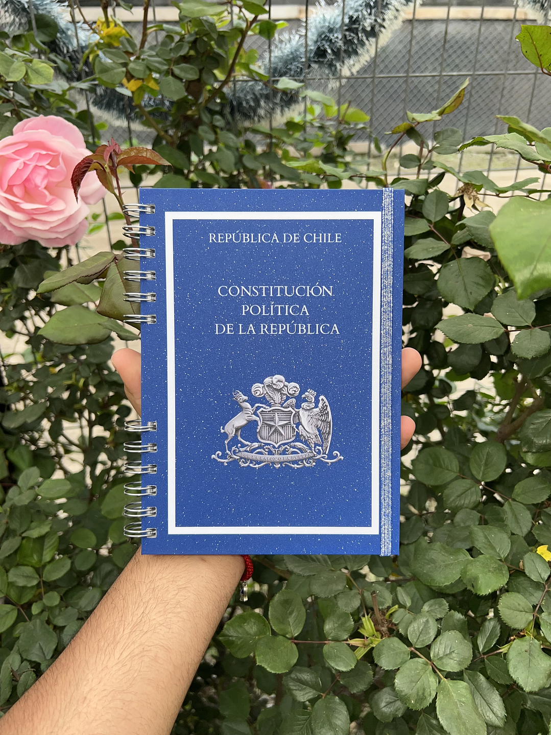 Constitución Política de la República 3