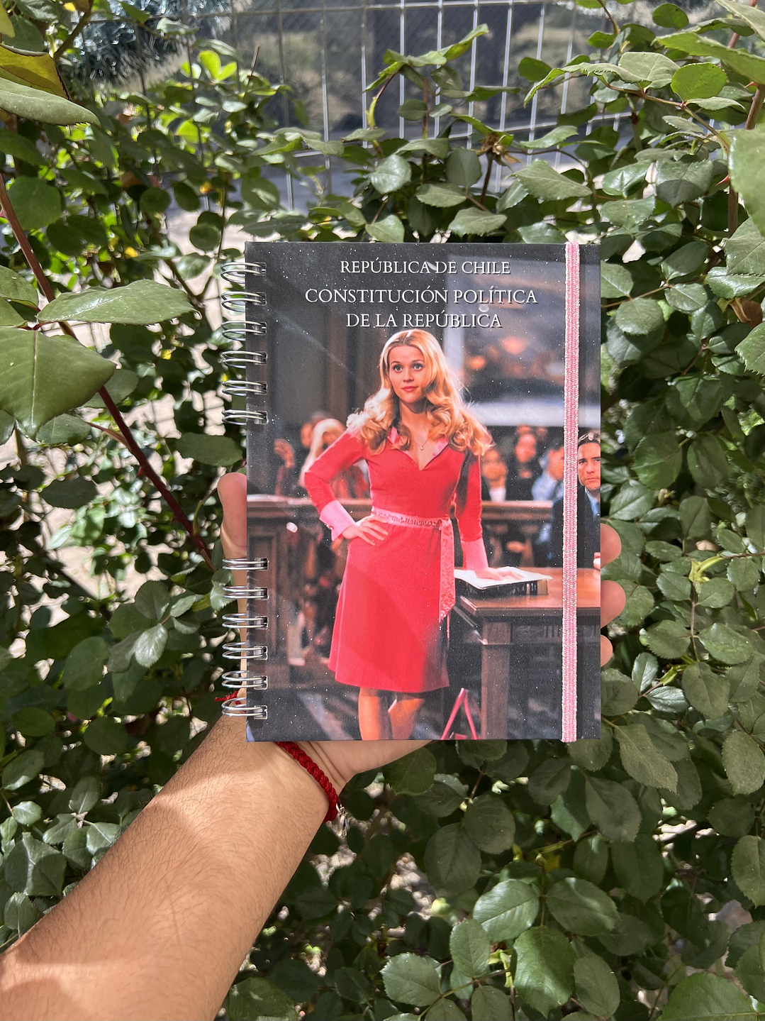 Constitución Política de la República 4