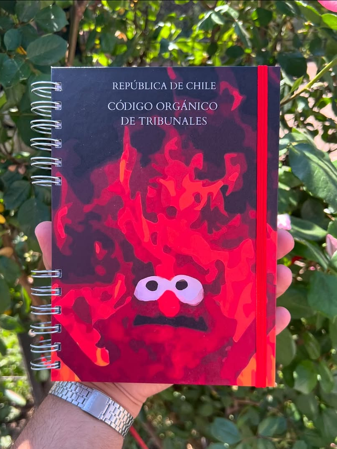 Código Orgánico de Tribunales 1