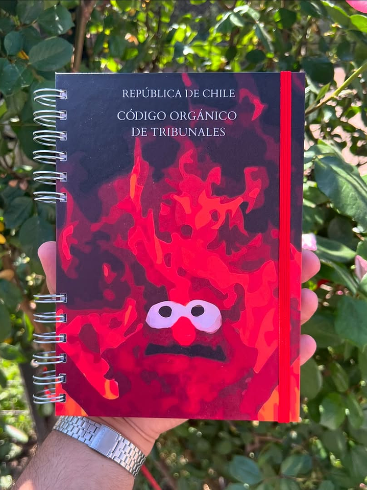 Código Orgánico de Tribunales 1