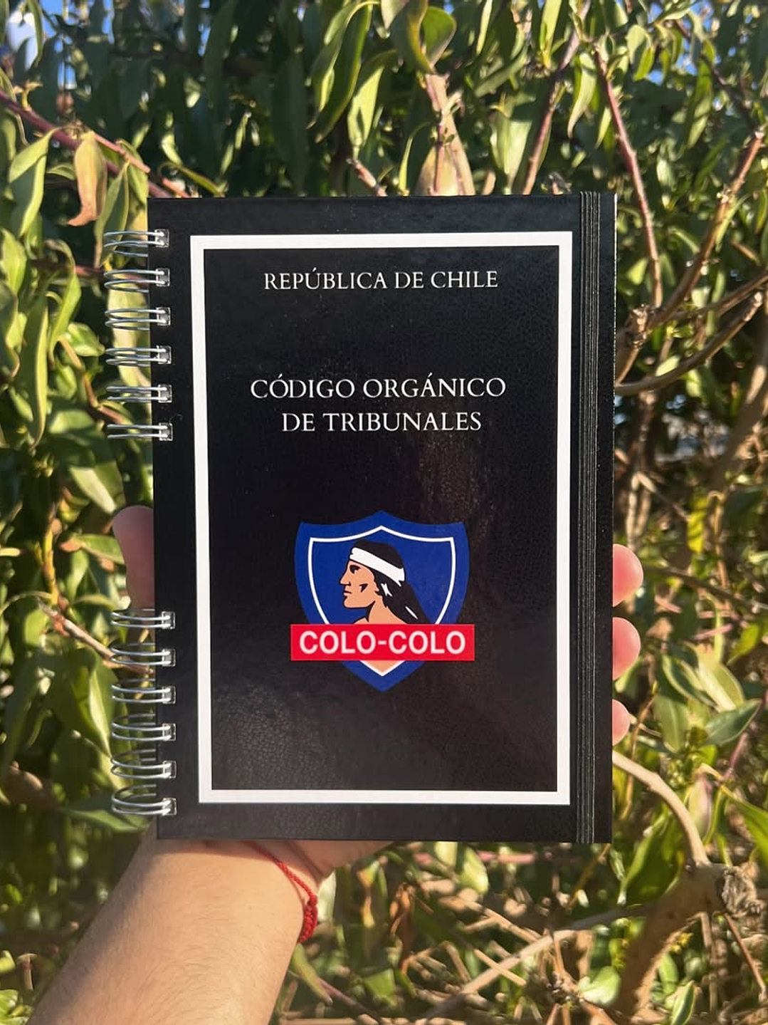 Código Orgánico de Tribunales 2