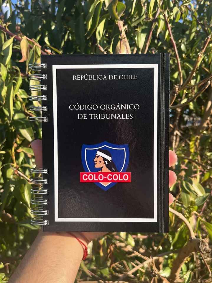 Código Orgánico de Tribunales 2