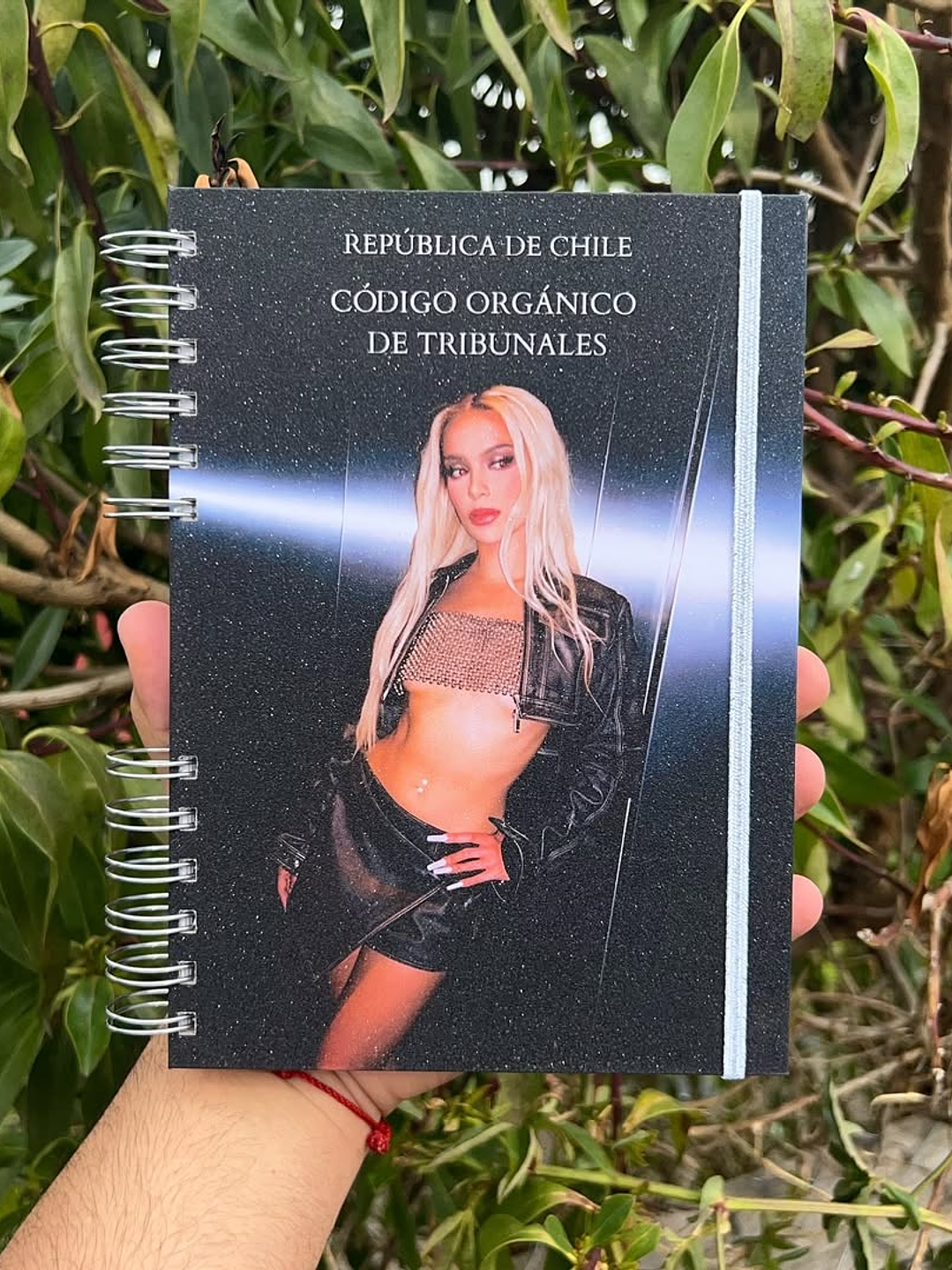 Código Orgánico de Tribunales 3