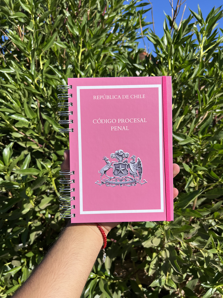 Código Procesal Penal  1