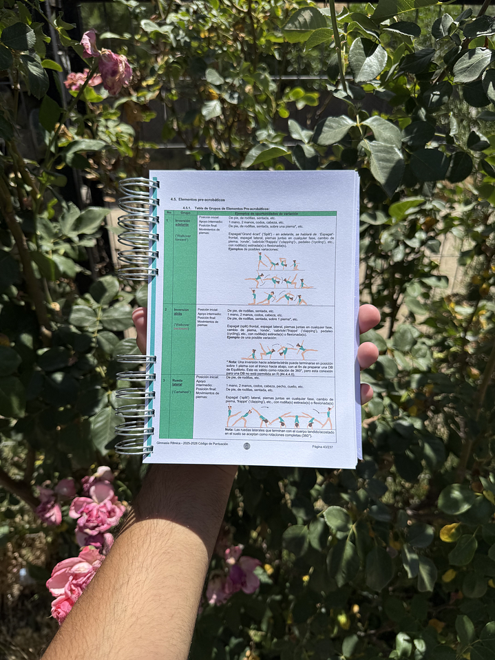 CÓDIGO DE PUNTUACIÓN 2025 - 2028 - GIMNASIA RÍTMICA 3