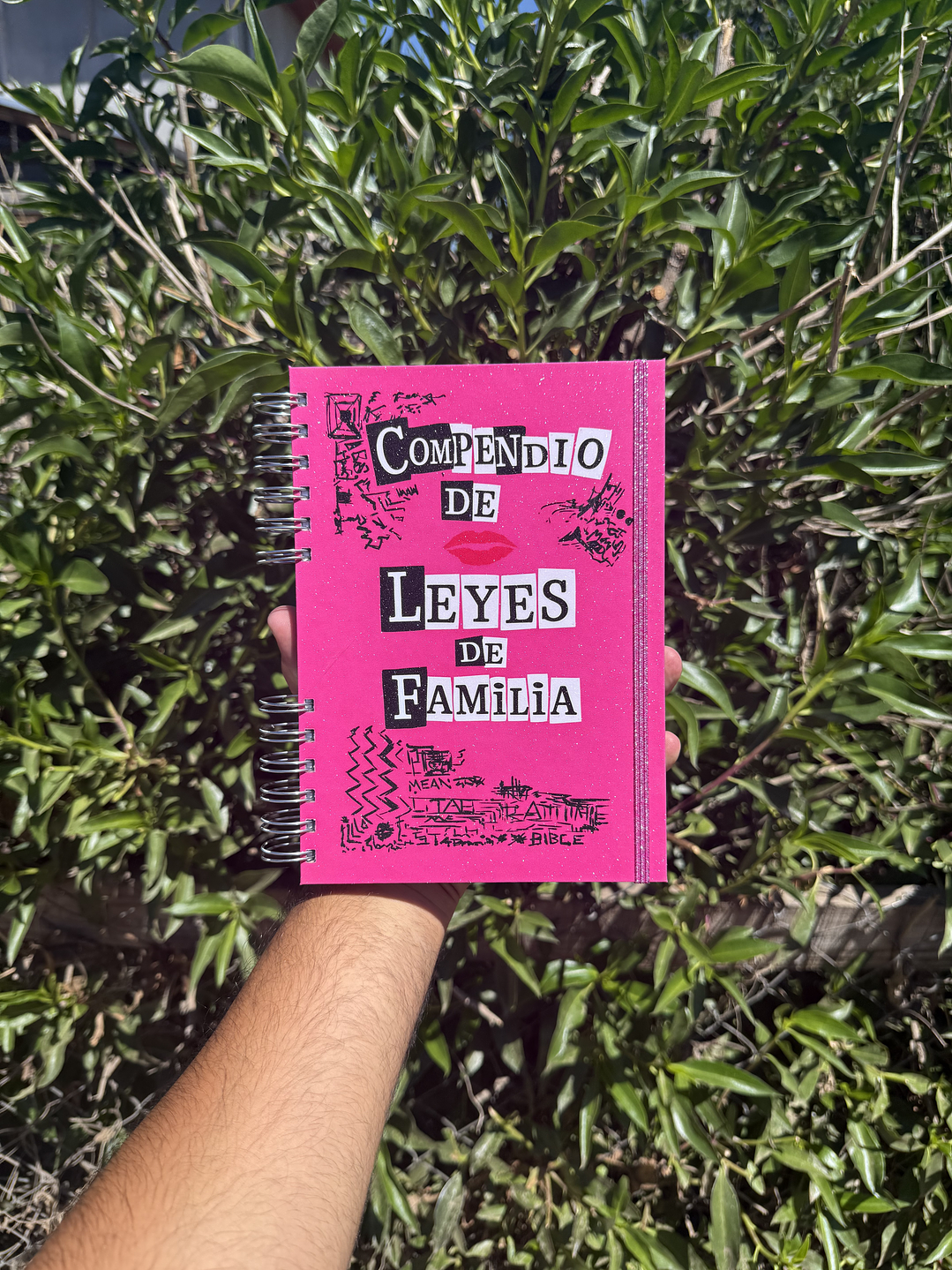 COMPENDIO DE LEYES DE FAMILIA 1