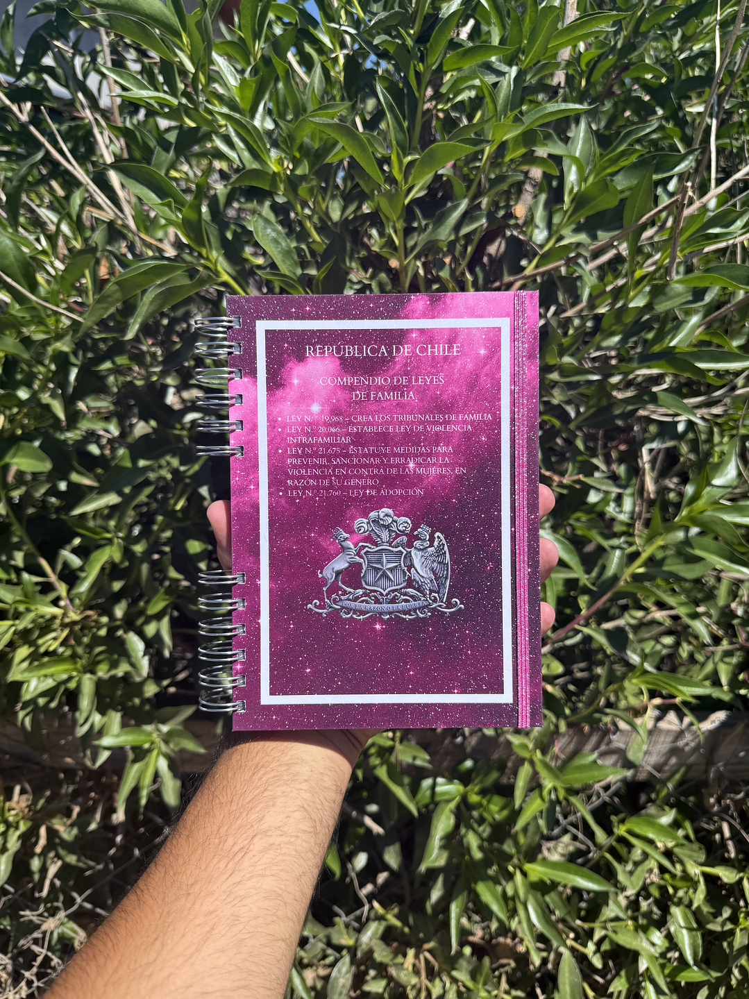 COMPENDIO DE LEYES DE FAMILIA 2