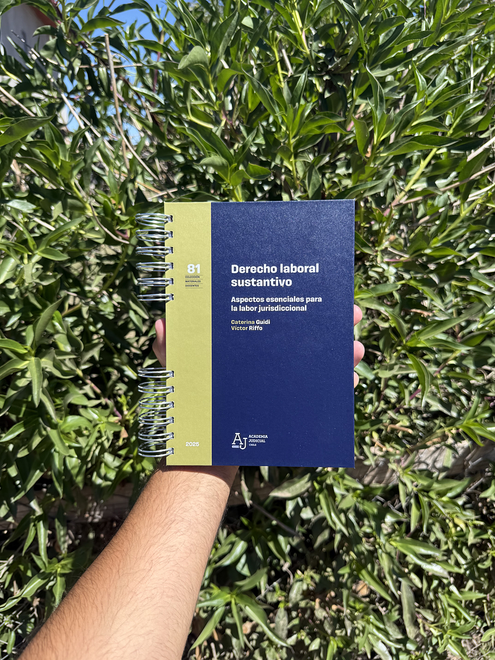 DERECHO LABORAL SUSTANTIVO 1