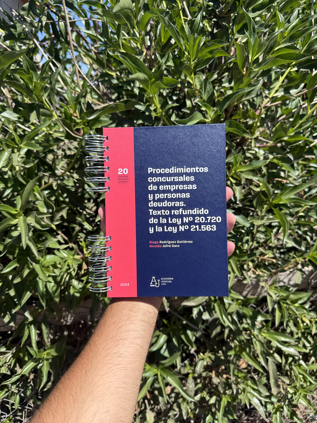 PROCEDIMIENTOS CONCURSALES DE EMPRESAS Y PERSONAS DEUDORAS 1