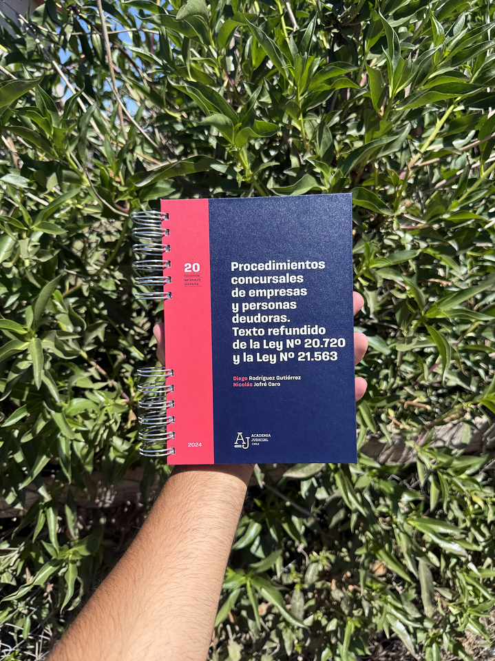 PROCEDIMIENTOS CONCURSALES DE EMPRESAS Y PERSONAS DEUDORAS 1