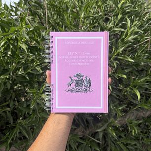 LEY N. ° 19.496 – NORMAS SOBRE PROTECCIÓN DE LOS DERECHOS DE LOS CONSUMIDORES