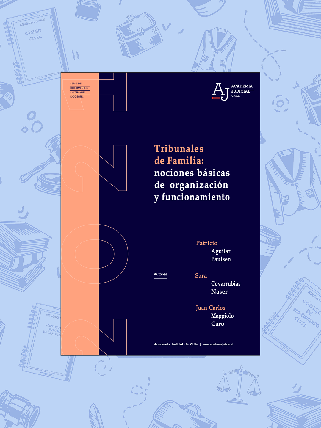 TRIBUNALES DE FAMILIA: NOCIONES BÁSICAS DE ORGANIZACIÓN Y FUNCIONAMIENTO 1