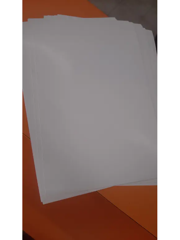 25 HOJAS DE PAPEL COUCHE BRILLANTE DE 300 GRS. TAMAÑO TABLOIDE 1