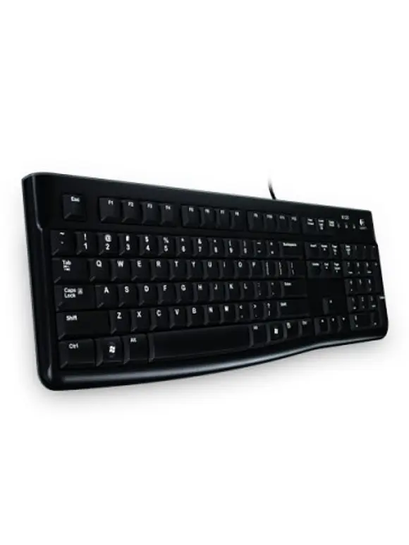 Teclado LOGITECH K120, USB, PC/server, Negro 1