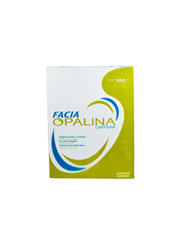 Cartulina Opalina Facia Carta Blanca C/100 225GR 1