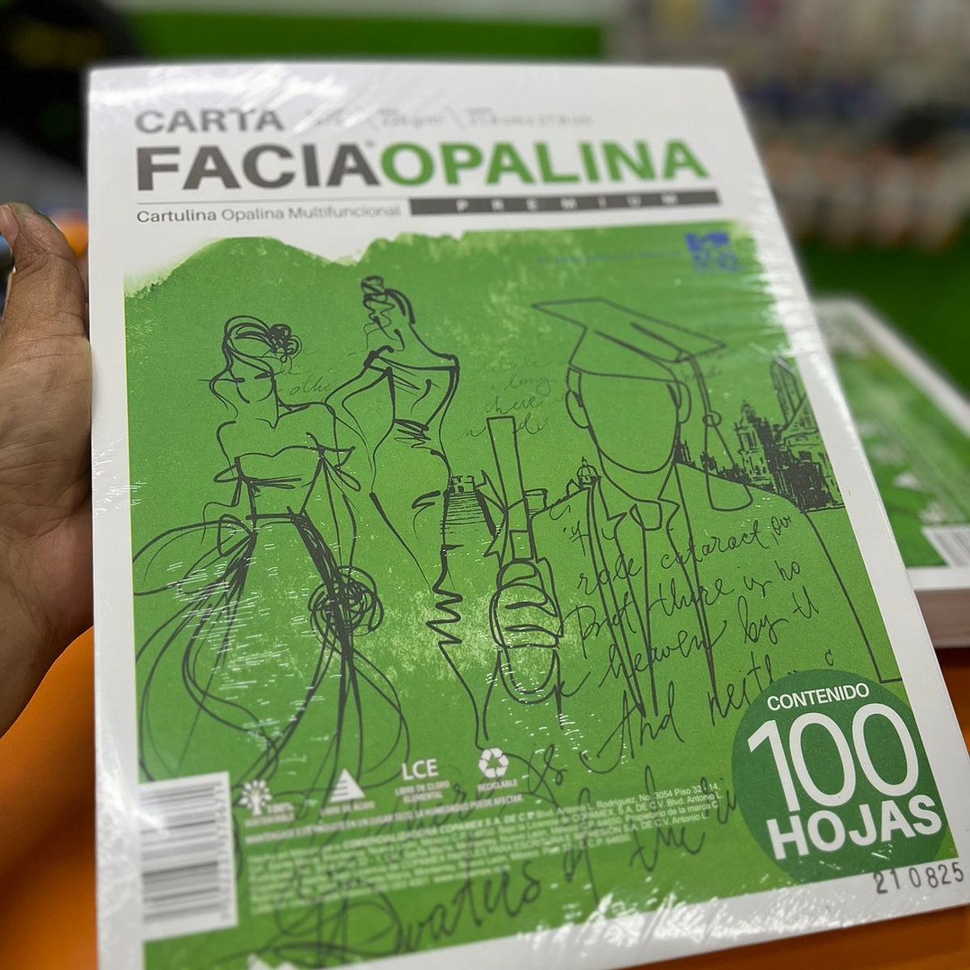 Cartulina Opalina Facia Carta Blanca C/100 225GR 3