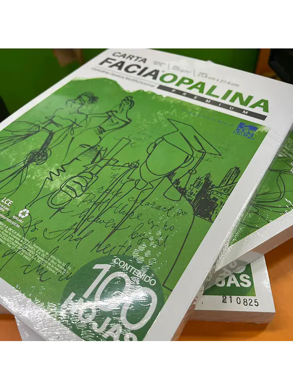 Cartulina Opalina Facia Carta Blanca C/100 225GR 4