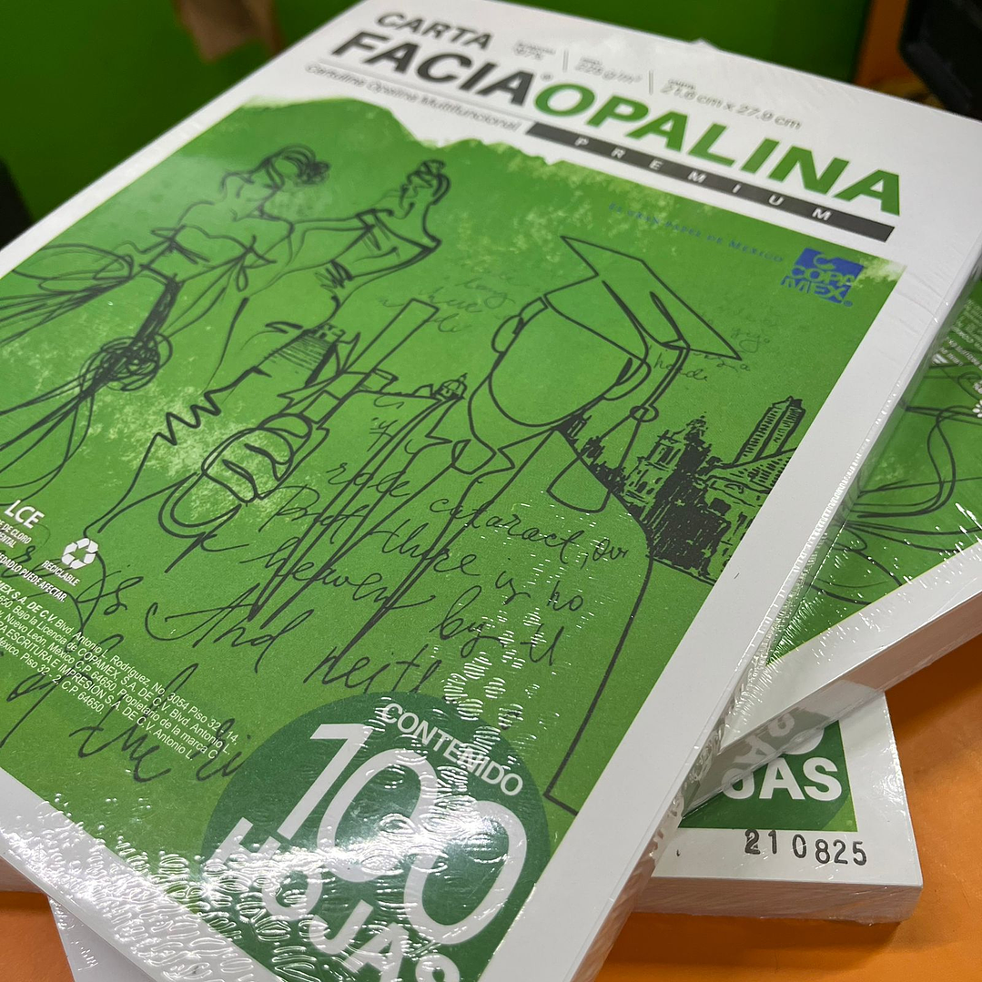 Cartulina Opalina Facia Carta Blanca C/100 225GR 4