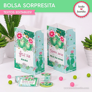Cactus: bolsa sorpresita para imprimir Descarga GRATIS