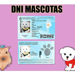 Plantillas Dni Mascotas / 3 Versiones Editables Photoshop