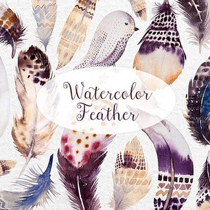 Cliparts Png Plumas Violetas  Acuarela Watercolor Pa65