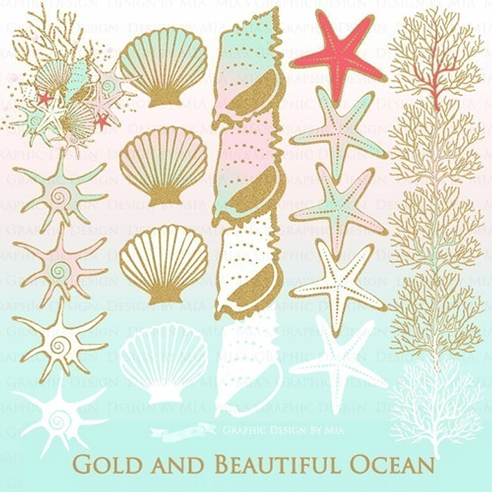 Cliparts Png Y Papeles Digitales Mar Océano Caracoles M19 2