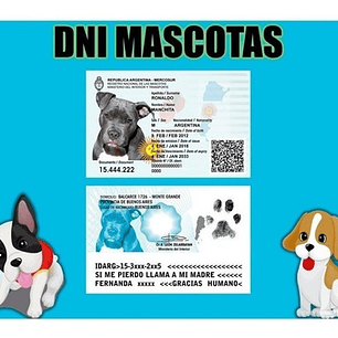 Dni Canino 100 % Editable Formato Psd (3 Versiones)