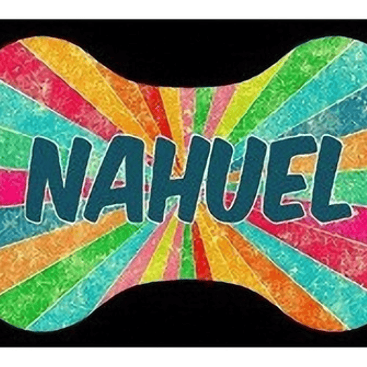 Plantilla Identificación Huesito Para Perros Editable Psd 2