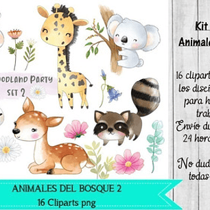 Cliparts Animales Del Bosque 2 Acuarela Kit Imprimibles